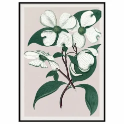 The Dybdahl Co. Affiche Cornus Florida| Déco Murale, Papier Peint