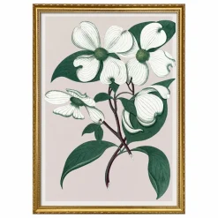 The Dybdahl Co. Affiche Cornus Florida| Déco Murale, Papier Peint