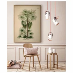 Clearance The Dybdahl Co. Affiche Livistona Humilis Multicolore