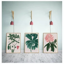 Online Affiche Rhododendrum Maximum Déco Murale, Papier Peint