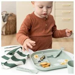 Best Assiette compartimentée Croco | Premiers Repas|Puériculture