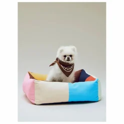 Hay Bandana pour chien || Accessoires Animaux