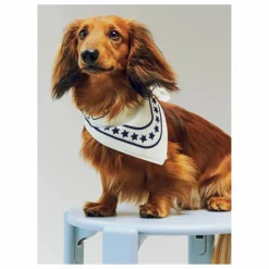 Hay Bandana pour chien || Accessoires Animaux
