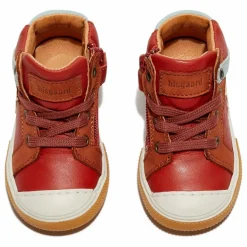 Clearance Baskets Zip Holger | Enfant Baskets|Baskets