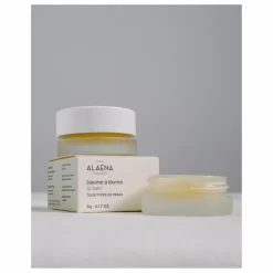 Hot Alaena Baume à lèvres - 5 g Non teinté