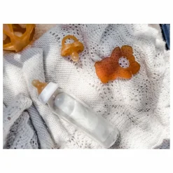 Hevea Biberons en verre borosilicate 240ml - Lot de 2| Biberons|Puériculture