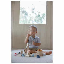 Plan Toys Blocs de construction Tendresse Multicolore