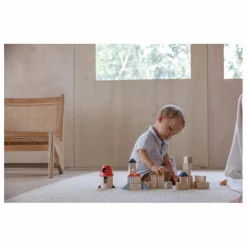 Plan Toys Blocs de construction Tendresse Multicolore