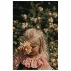 New garbo&friends Blouse Peony Velours Côtelé | Rose