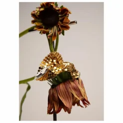 Clearance Boucles d'Oreilles Iris | Femme Boucles D'Oreilles