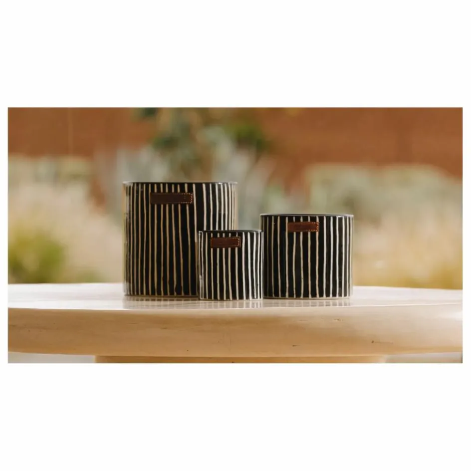 Homme Côté Bougie Bougies, Senteurs|Bougies, Senteurs*Bougie Zébré - Mandarine Majorelle