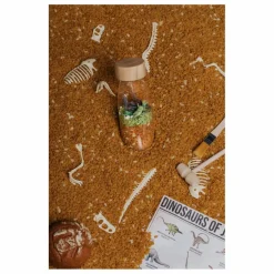 Online Bouteille sensorielle Jurassic | Jeux Éducatifs