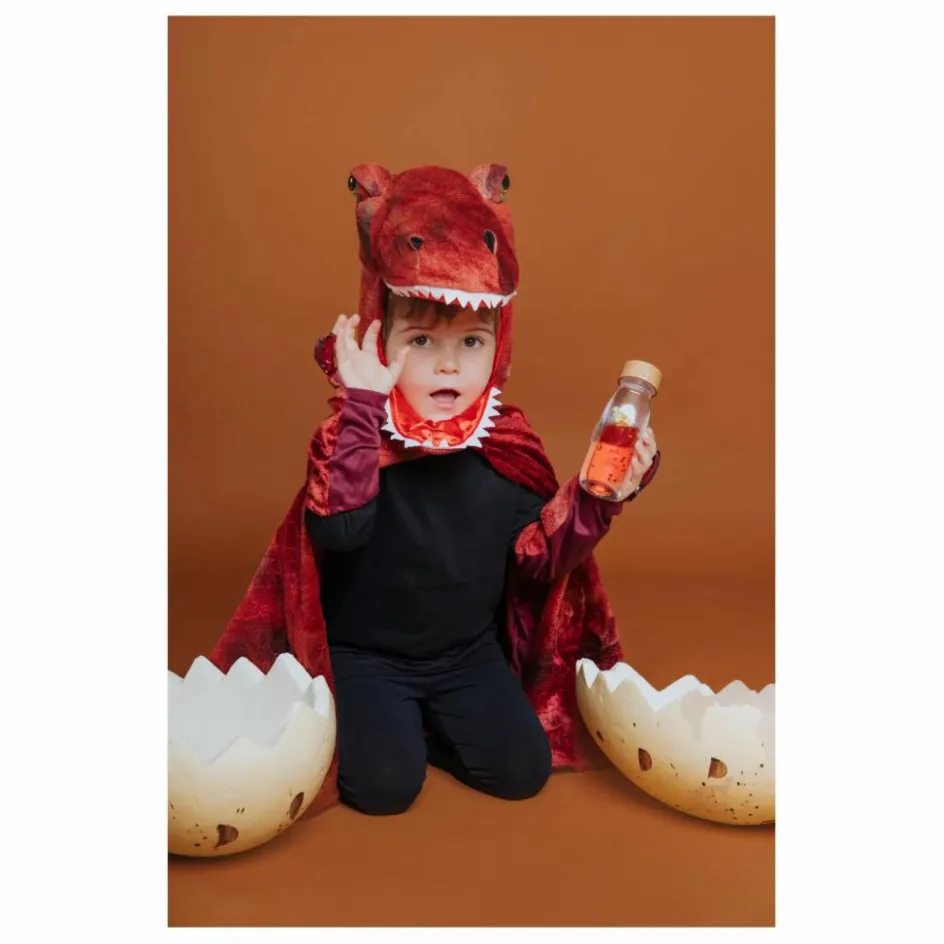 Petit Boum Jeux Éducatifs*Bouteille sensorielle T-Rex |
