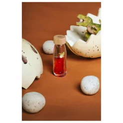Petit Boum Jeux Éducatifs*Bouteille sensorielle T-Rex |
