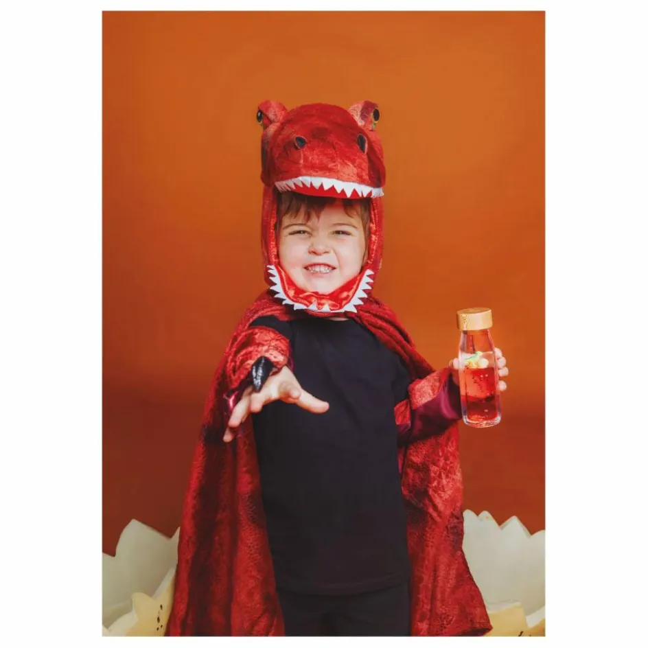 Petit Boum Jeux Éducatifs*Bouteille sensorielle T-Rex |
