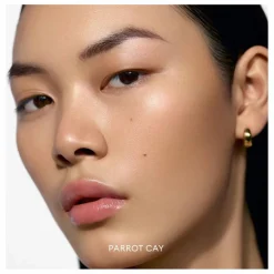 Rose Inc Bronzer crème soft-focus Solar Infusion ||Femme Maquillage