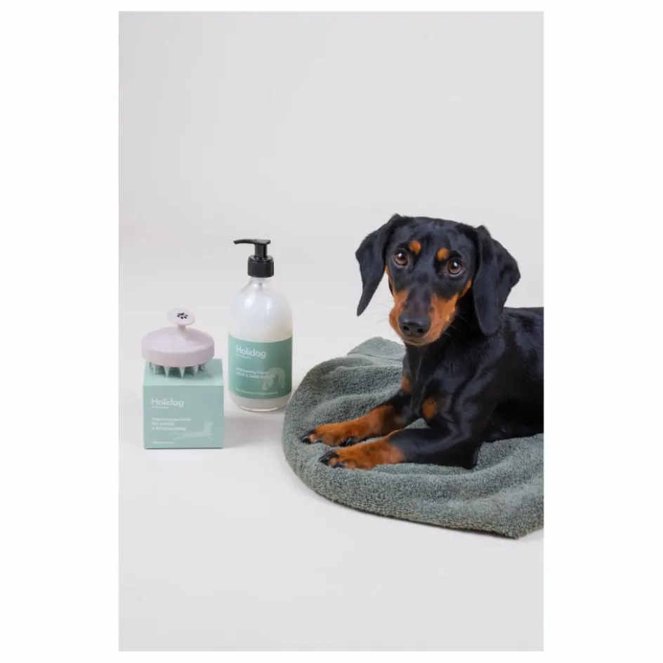 Holidermie Accessoires Animaux*Brosse de massage pour chien Holidog