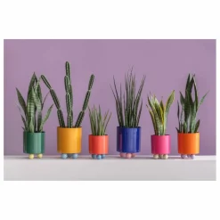 Present Time Cache-pot Double Funky || Vases, Objets Déco