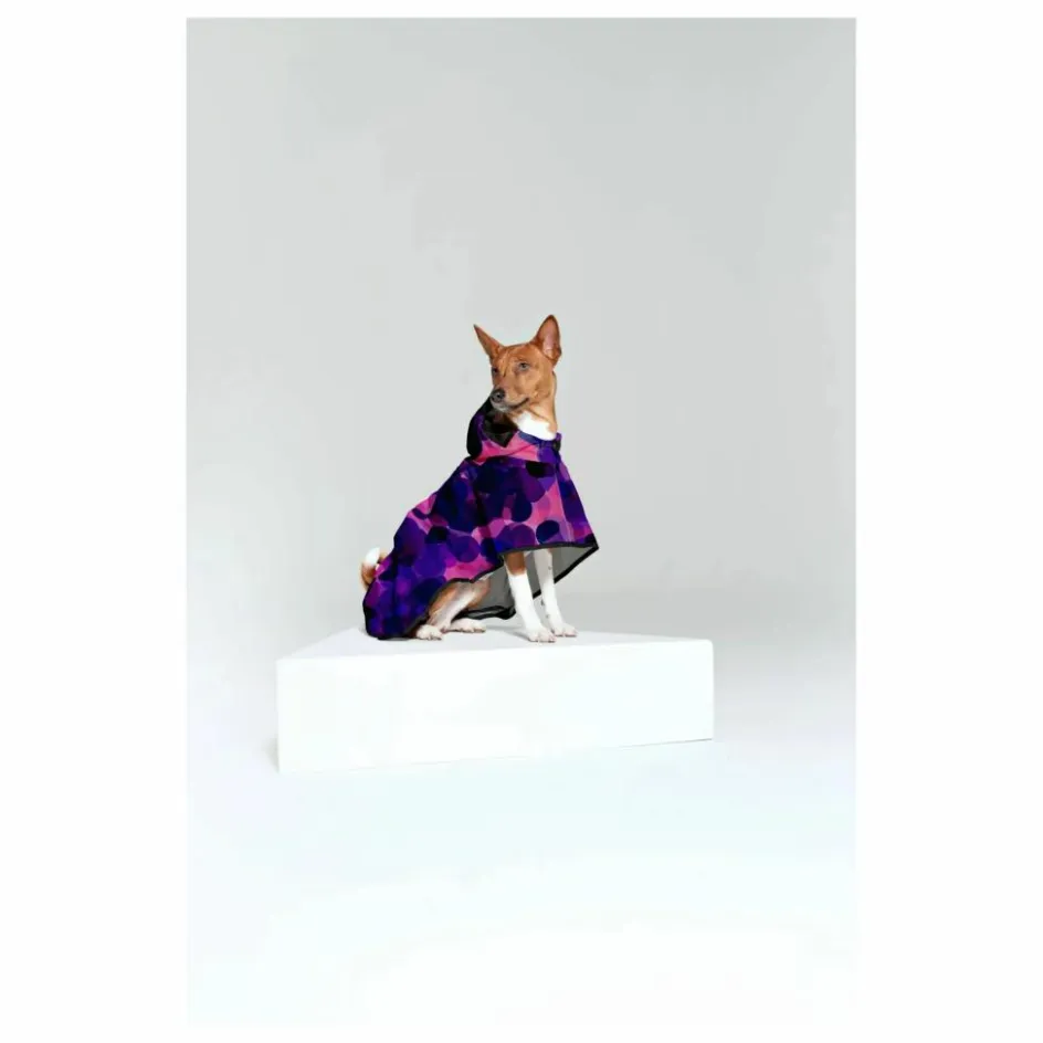 Rainkiss Cape pour Chien Imperméable City Lights || Accessoires Animaux