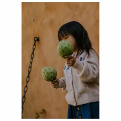 Enfant Fliink Pulls, Gilets|Pulls, Gilets*Cardigan Star Laine Alpaga |