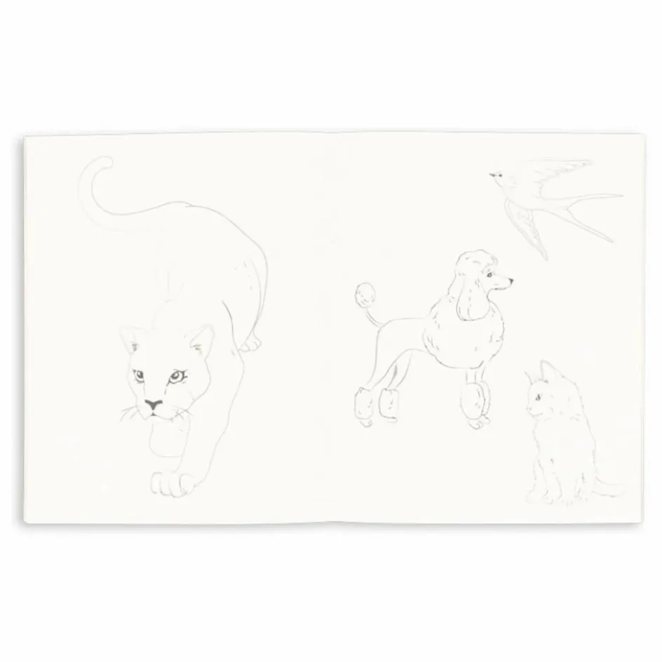 Online Carnet de coloriage et ses 6 crayons de couleurs | Loisirs Créatifs
