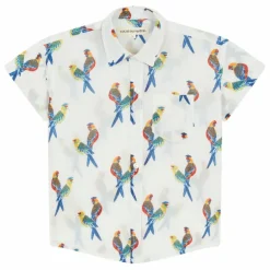 Sale Chemise Oiseaux | T-Shirts, Chemises|Blouses, T-Shirts