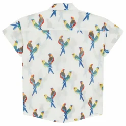 Sale Chemise Oiseaux | T-Shirts, Chemises|Blouses, T-Shirts