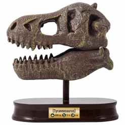 Outlet Buki Coffret d'archéologie - Museum Dino Skull Multicolore