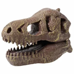 Outlet Buki Coffret d'archéologie - Museum Dino Skull Multicolore
