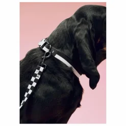 Hay Collier || Accessoires Animaux