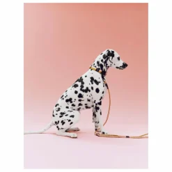 Hay Accessoires Animaux*Collier |