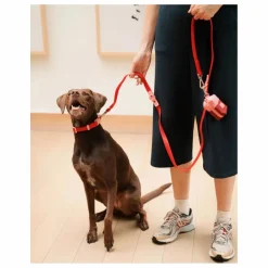 Approved by Fritz Collier pour chien || Accessoires Animaux