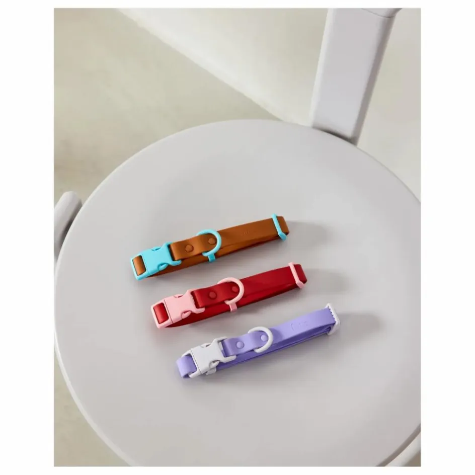 Approved by Fritz Collier pour chien || Accessoires Animaux