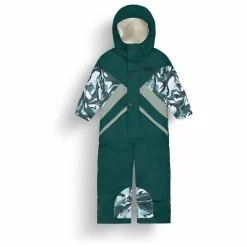 Picture Combinaison de ski Snowy | Vert