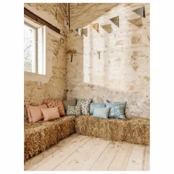 Le Monde Sauvage Coussin Nébuleuse || Coussins