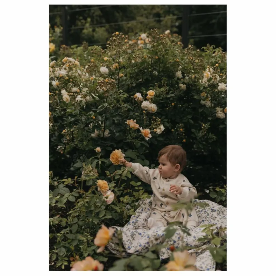 Discount Couverture Dainty Enfant Couvertures Et Plaids|Linge De Lit Bébé