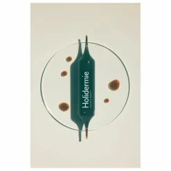 Holidermie Detox concentré drainant - 21 ampoules| Compléments Alimentaires
