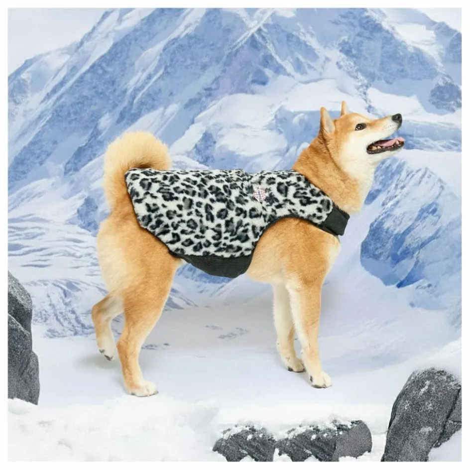 Doudoune réversible | Accessoires Animaux