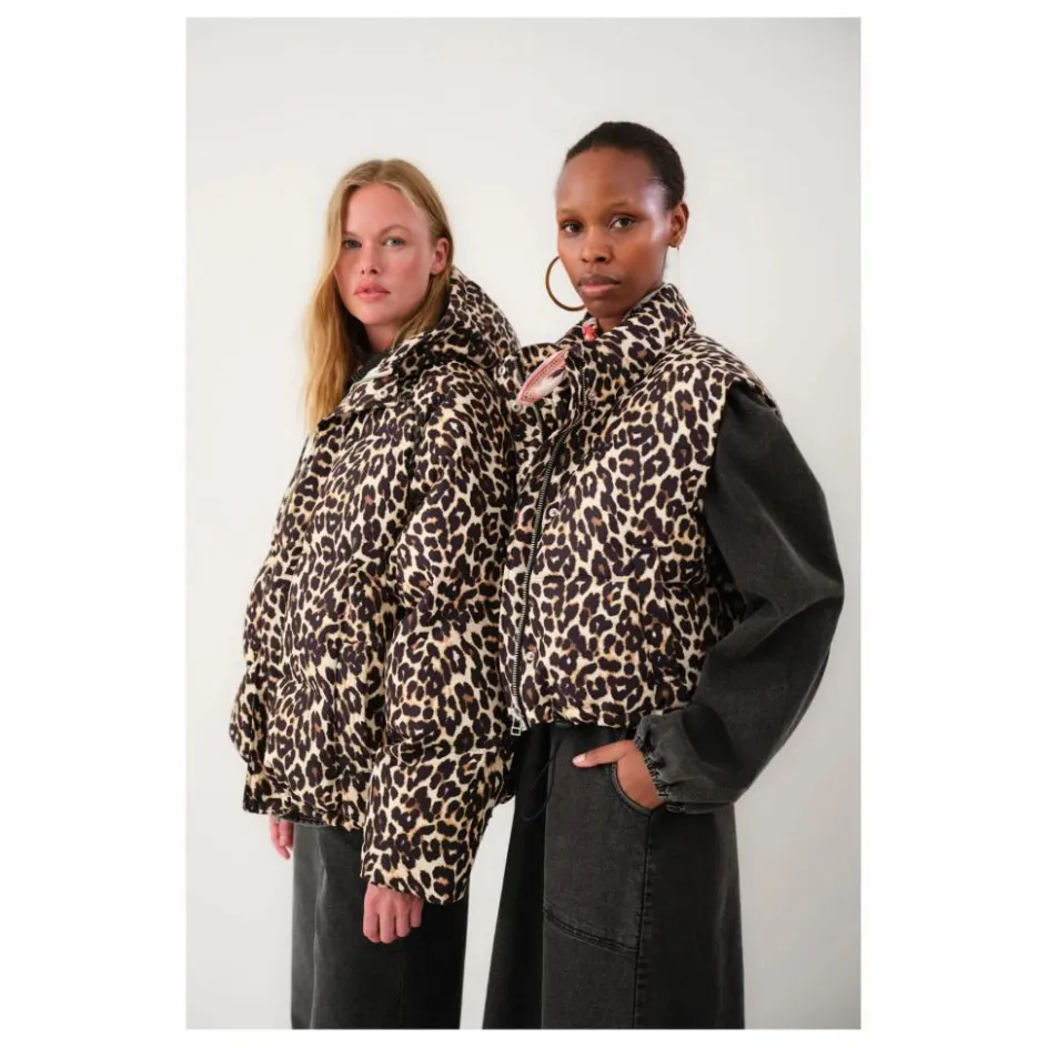 Lollys Laundry Doudoune Shelby Léopard ||Femme Manteaux, Parkas