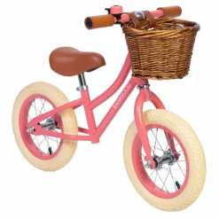 Banwood Draisienne First Go 12