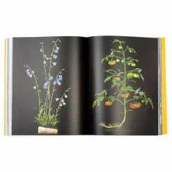 Gestalten Evergreen living with plants - EN|Homme Livres|Livres, Jeux