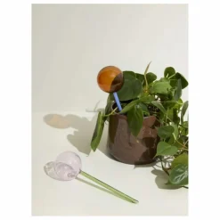 New Hübsch Globe d'arrosage en verre Flora | Rose