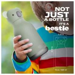 Online Asobu Gourde en inox Koala | Gris