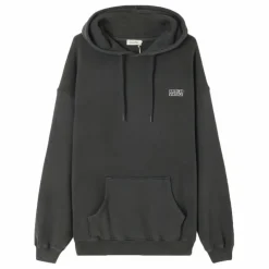 Clearance American Vintage Hoodie Izubird | Gris charbon