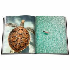 Online Jamaica Vibes Homme Livres|Livres, Jeux
