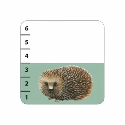 Djeco Jeu de cartes Batanimo| Jeux Éducatifs