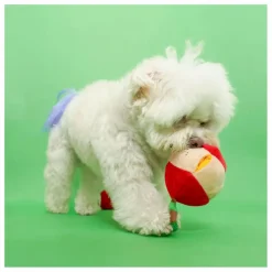 The Furry Folks Jouet de fouille Apple || Accessoires Animaux