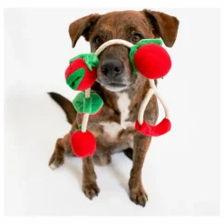 The Furry Folks Jouet de fouille Cherry Tomato || Accessoires Animaux