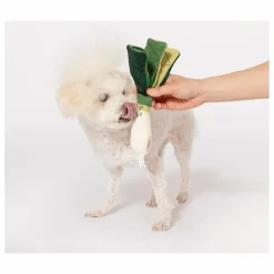 Sale Jouet de fouille Green Onion | Accessoires Animaux