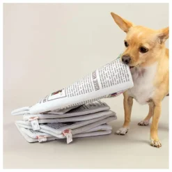 Best The Furry Folks Jouet de fouille Newspapper | Multicolore